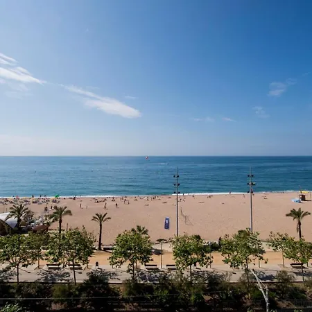 فندق Internacional كاليليا