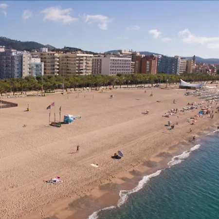 Internacional Calella