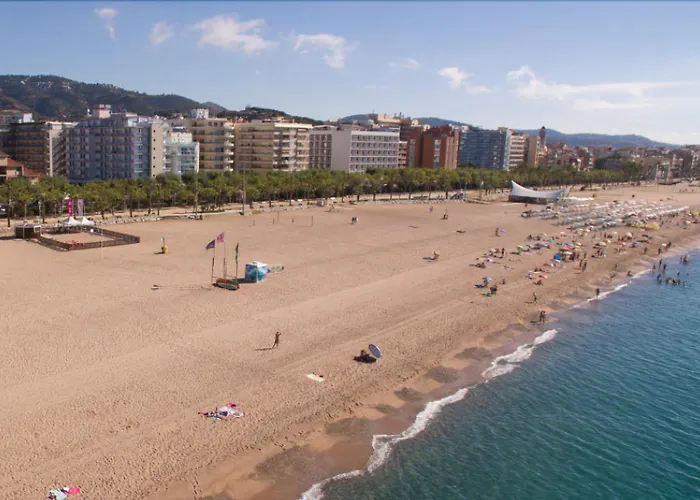Internacional Calella