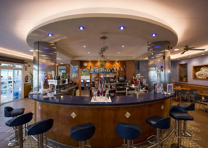 Internacional קאללה