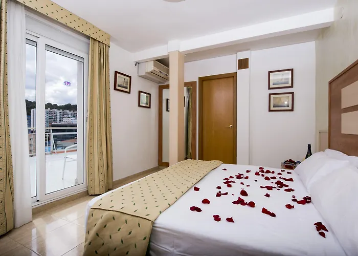 Internacional קאללה